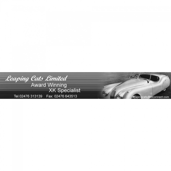 Leaping Cats Ltd.
